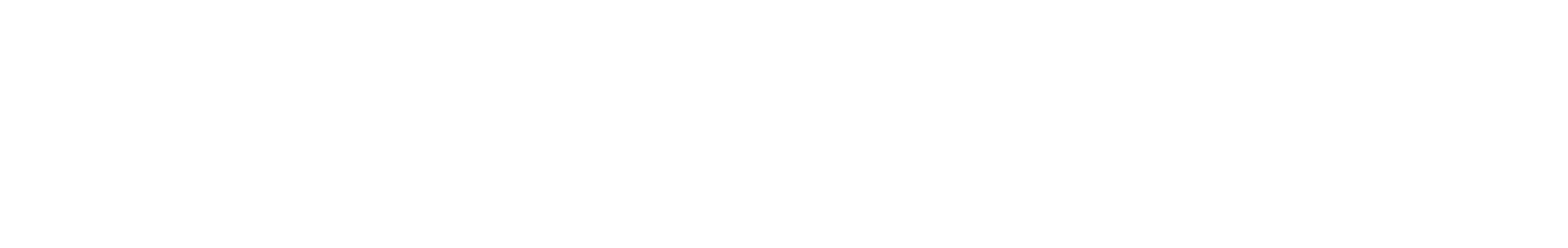 Maxx Service